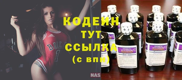 apvp Новосибирск