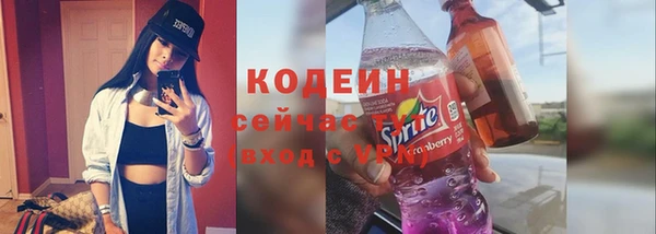 ПСИЛОЦИБИНОВЫЕ ГРИБЫ Каменка