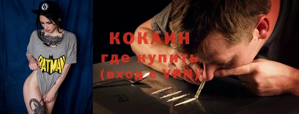 ПСИЛОЦИБИНОВЫЕ ГРИБЫ Каменка