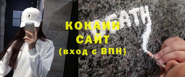 ПСИЛОЦИБИНОВЫЕ ГРИБЫ Каменка