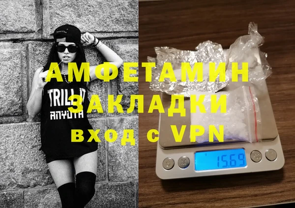 ПСИЛОЦИБИНОВЫЕ ГРИБЫ Каменка