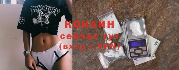 ПСИЛОЦИБИНОВЫЕ ГРИБЫ Каменка