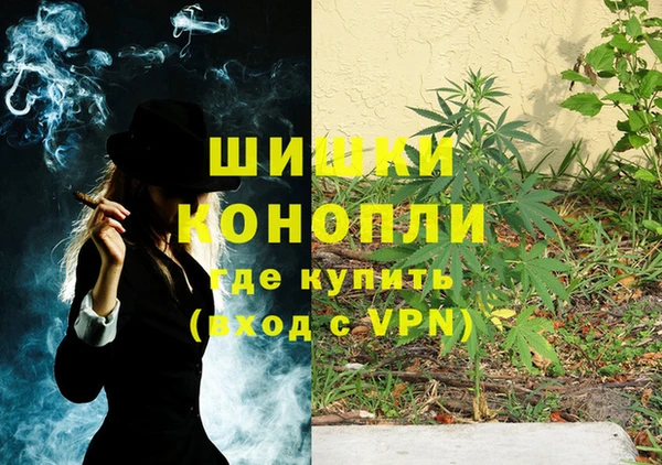 ПСИЛОЦИБИНОВЫЕ ГРИБЫ Каменка