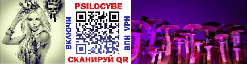где купить наркоту  Октябрьск  Псилоцибиновые грибы Magic Shrooms 